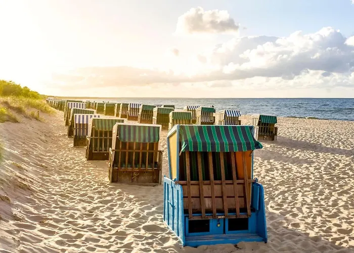 Dueneneck 22 * زيمبين